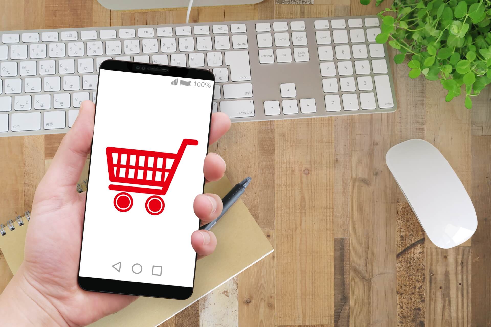 「宮崎尾崎牛」はどこで購入できる？一般的な店舗での取り扱い状況